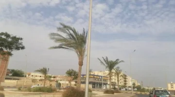 تحذير الأرصاد.. ضباب كثيف يحجب الرؤية على الطرق السريعة خلال ساعات الفجر الأولى